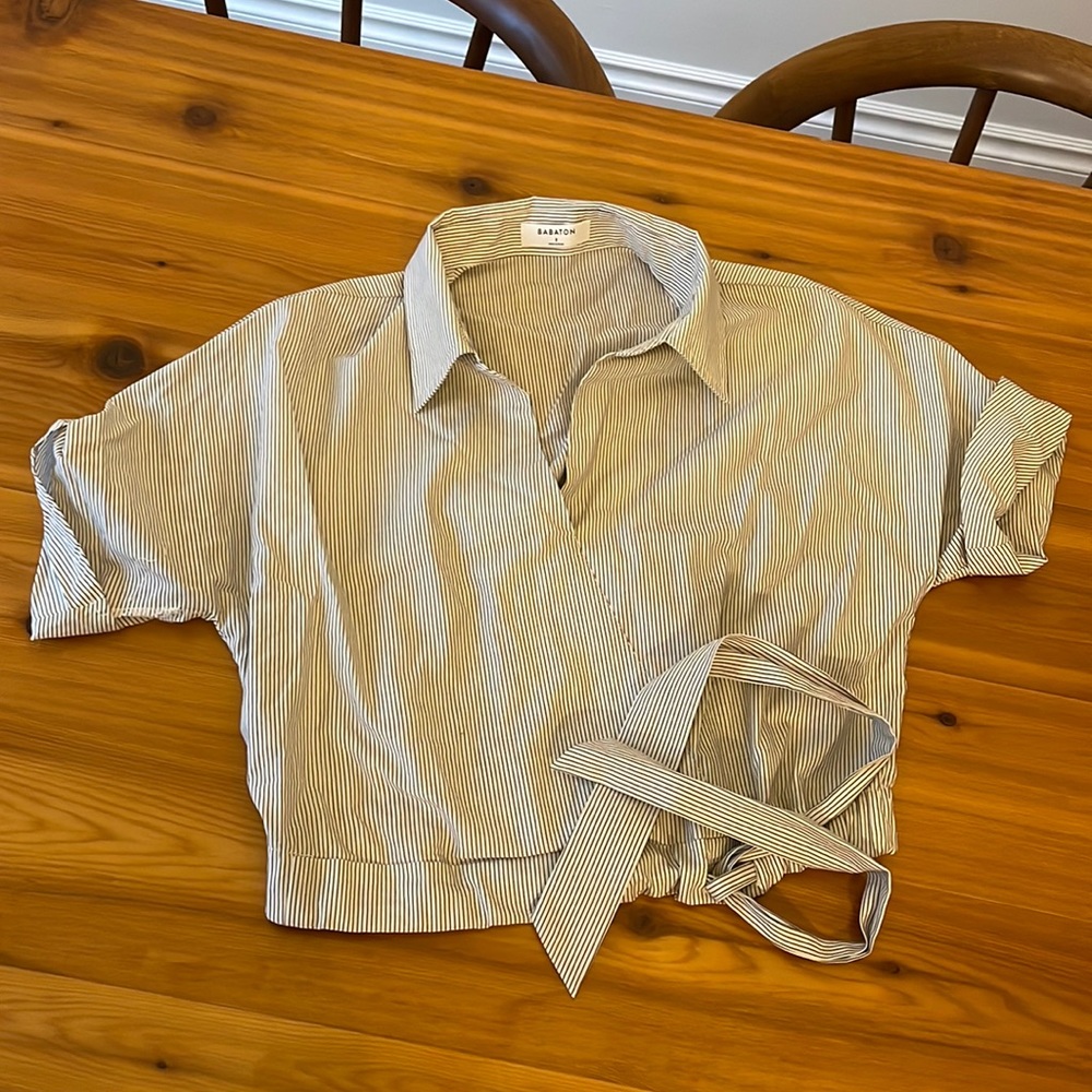Babaton cropped top. Never worn.
